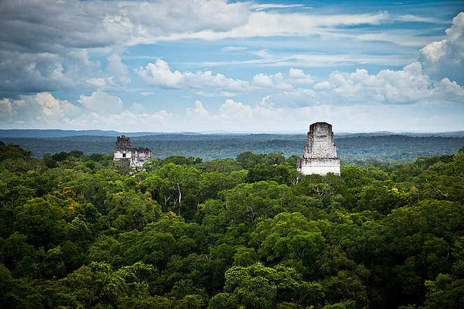 Une incroyable découverte au cœur de Tikal, la grande cité maya