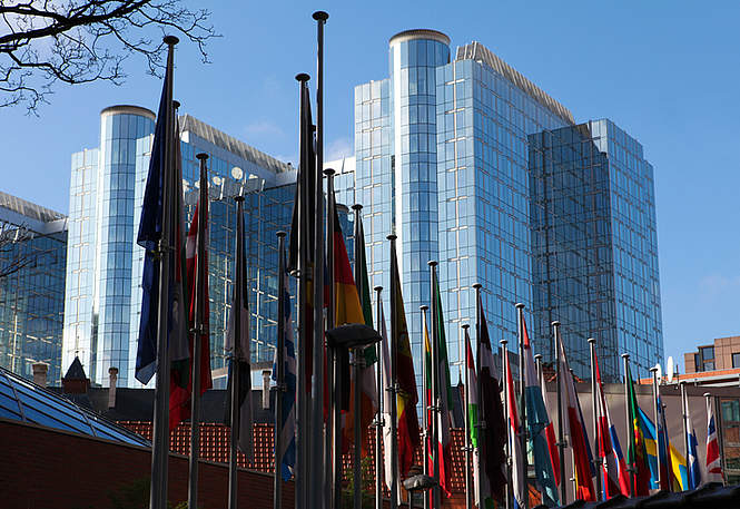 Le Conseil de l’Europe admet l’existence de conflits d’intérêts entre ONG et juges de la CEDH