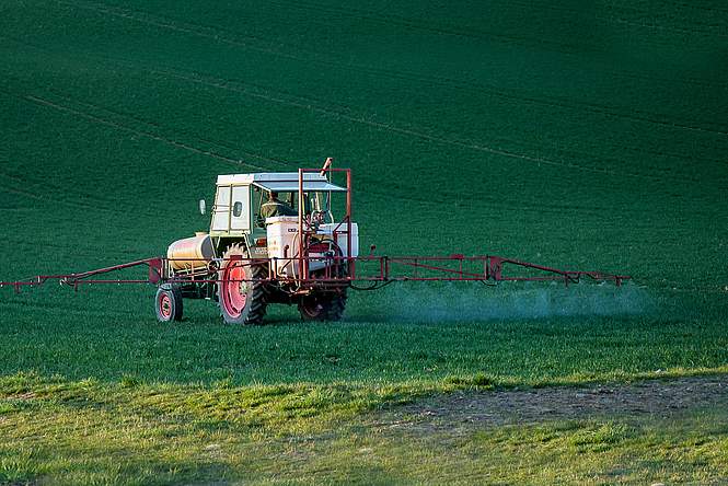 Le glyphosate, herbicide nuisible ou bouc émissaire ? 