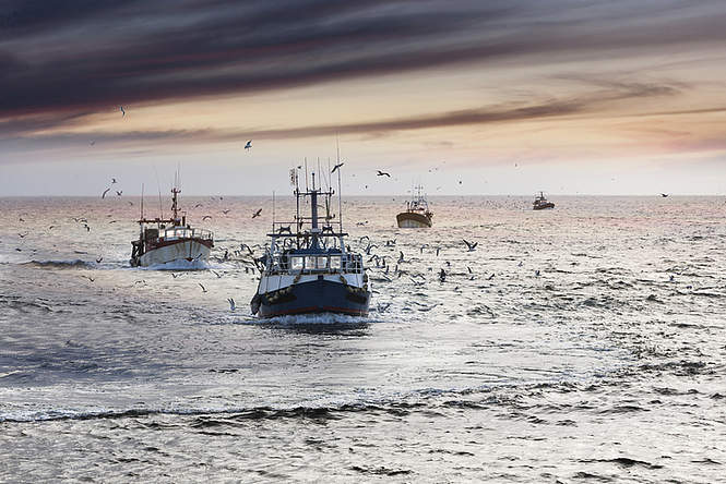 France/Royaume-Uni : nos pêcheurs se sentent floués