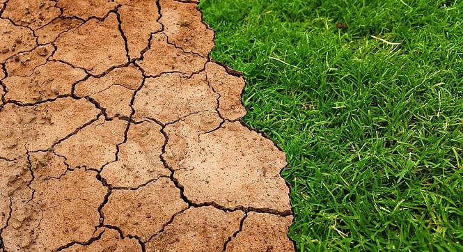 Les réfugiés climatiques existent-ils vraiment ? 