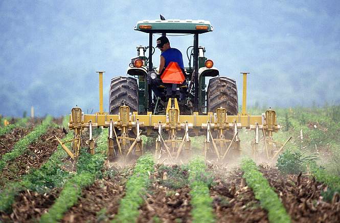 Une ferme française sur cinq a disparu en dix ans