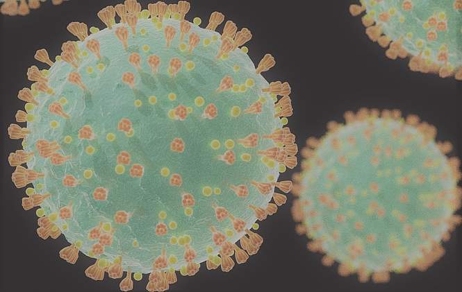 Suspension du pass vaccinal : une libération en demi-teinte