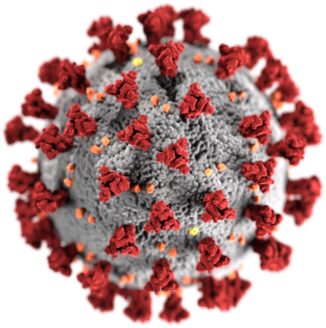 Le vaccin anti-covid de Valneva, mal-aimé des autorités ?