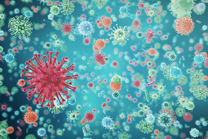 Grippe : la loterie du premier virus 
