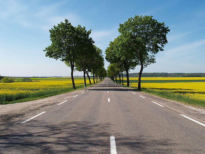 Répression routière : les premières douleurs des 80 km/h