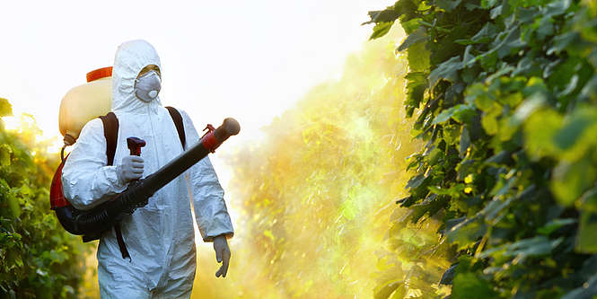 Monsanto, une mauvaise affaire pour Bayer ? 