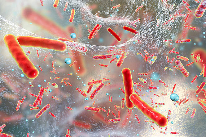 Danger ! Une bactérie tueuse se propage dans les hôpitaux du monde entier !