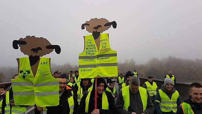 « Gilets jaunes » : la jaunisse, ce n’est pas anodin !