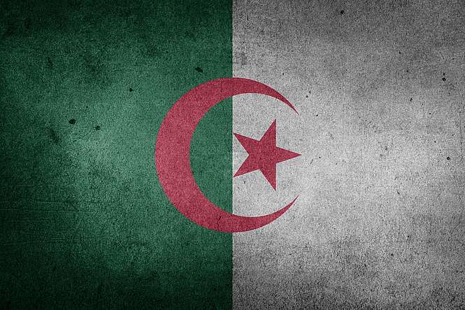 Algérie : une présidence diminuée