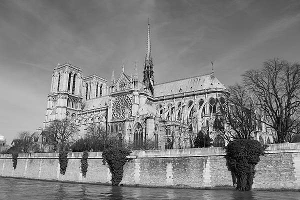 Restauration de Notre-Dame : il y a loin du calice aux lèvres (n° 677)